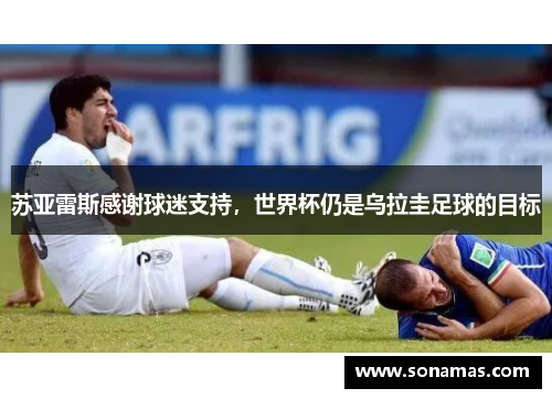 苏亚雷斯感谢球迷支持，世界杯仍是乌拉圭足球的目标